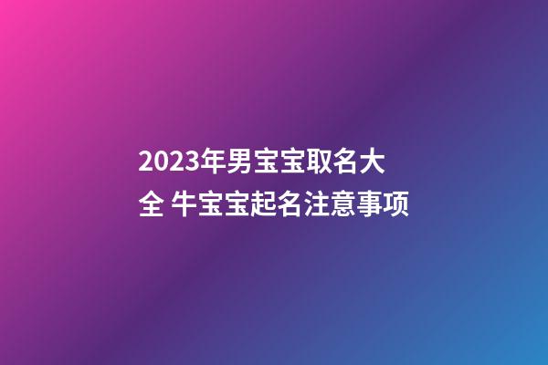 2023年男宝宝取名大全 牛宝宝起名注意事项